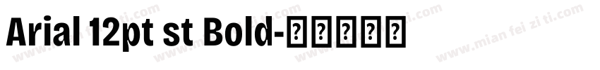 Arial 12pt st Bold字体转换
